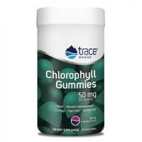 Анонс фото trace chlorophyll gummies (30 жев. конф) ягода