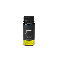Анонс фото nutriversum dark pwo boom (60 мл) лимон - лайм