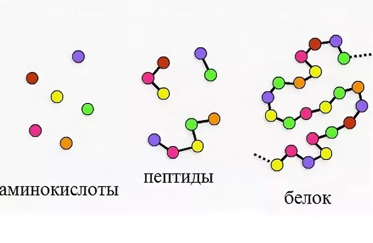 Лучшие белковые завтраки для набора массы и похудения