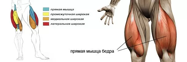 ���� Pharmacom Labs �����������: ����.
