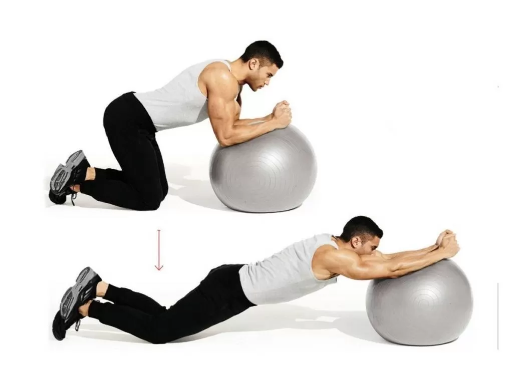 Bosu ball makro clearance