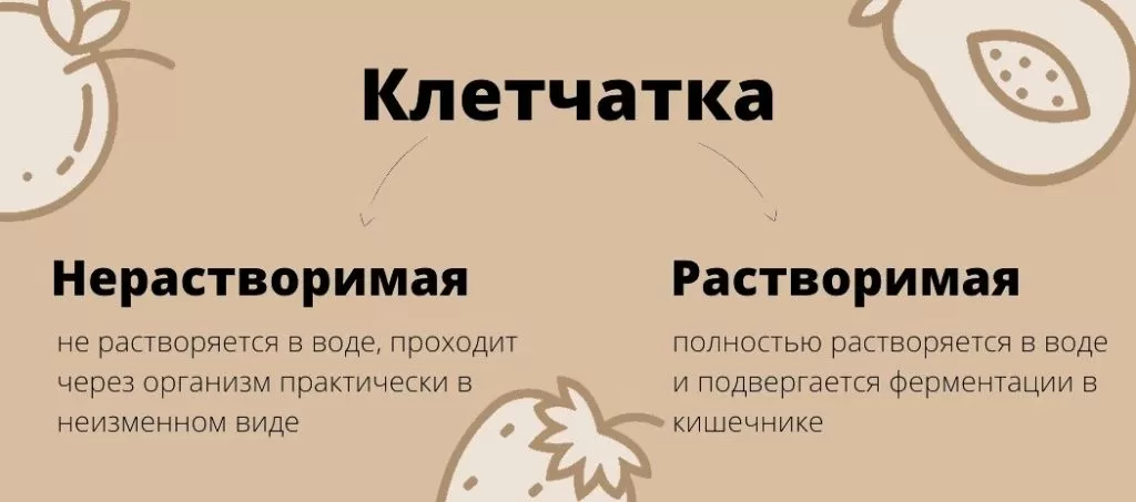 Что такое клетчатка и зачем она нужна | Здоровье